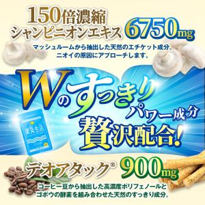 口臭 ケア サプリ 楽臭生活 2袋 180粒 ...の詳細画像4