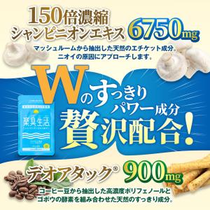 口臭 ケア サプリ 楽臭生活 初回限定 1袋9...の詳細画像4
