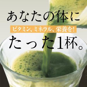 レモンの青汁 国産 送料無料 ケール 1箱 個...の詳細画像2