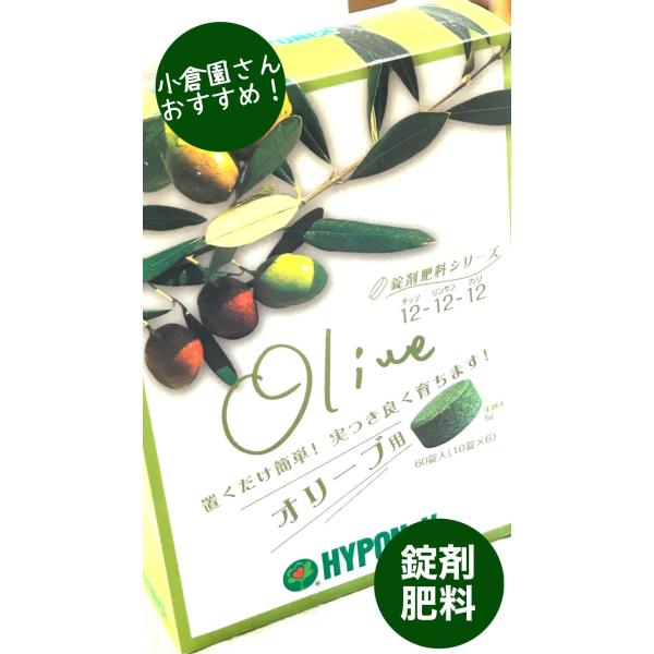 ハイポネックス　錠剤肥料　60錠入　小倉園　おすすめ　オリーブの木　鉢植え　庭木　シンボルツリー　人...