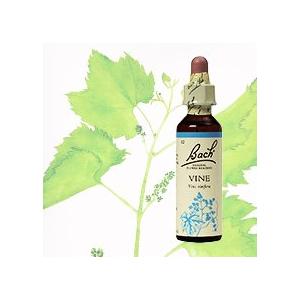 バイン 10ml バッチフラワーレメディー  エッセンス レメディ スポイト 直接  口 舌下 滴 ...