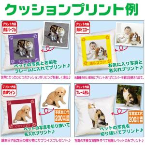 オリジナルクッション 写真 名入れ 愛犬 ペッ...の詳細画像1