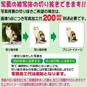 オリジナルクッション 写真 名入れ 愛犬 ペッ...の詳細画像4