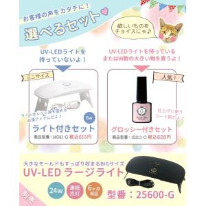 豪華101点♪ レジンスターターキット 極 選...の詳細画像3