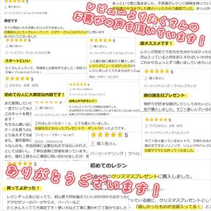 豪華101点♪ レジンスターターキット 極 選...の詳細画像5