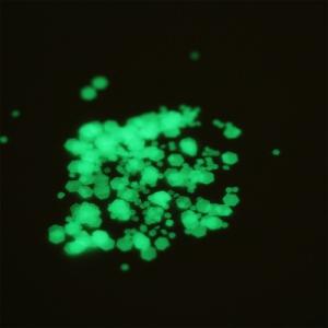 蓄光シート ヘキサゴンサイズMIX トッピング...の詳細画像2