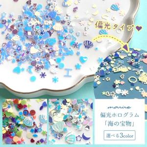 チャーム 10個 エンゼルフィッシュ 楽々封入♪カン無しチャーム きれい