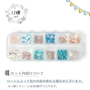 封入 12種類の海パーツ&海素材 レジン封入 ...の詳細画像1