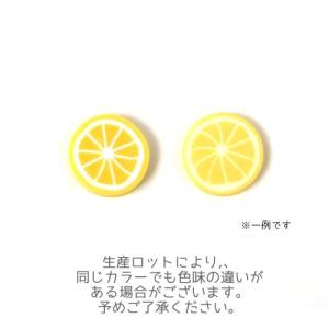 レジン 封入 樹脂粘土 ネイル デコ 輪切り ...の詳細画像5