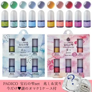 20％OFF 着色剤 2種セットでオマケ付き♪ 宝石の雫 クリアカラーセット 兆し＆実り レジン液 彩色 PADICO パジコ レジン着色 padico