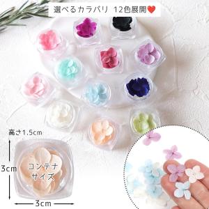 ドライフラワー アジサイ 紫陽花 あじさい 押...の詳細画像2