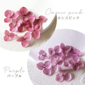 ドライフラワー アジサイ 紫陽花 あじさい 押...の詳細画像4