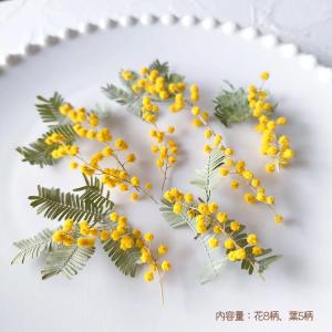 ドライフラワー 国産 ミモザ 花と葉 小分けセ...の詳細画像1