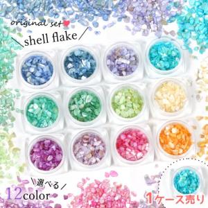 封入 シェルフレーク ちょっと大きめ 12色セット 貝 シェルチップ 