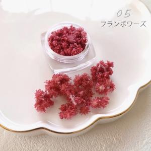 ドライフラワー クリスパム 日本製 封入素材 ...の詳細画像5