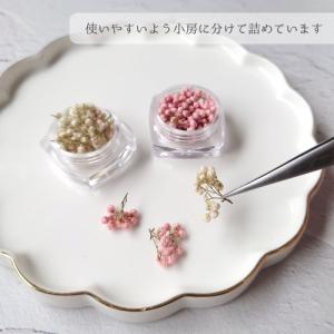 ドライフラワー ライスフラワーA 日本製 ハー...の詳細画像2
