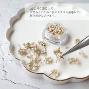 ドライフラワー ライスフラワーA 日本製 ハー...の詳細画像3