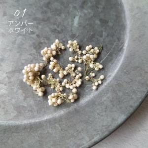 ドライフラワー ライスフラワーA 日本製 ハー...の詳細画像4