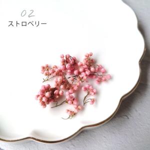 ドライフラワー ライスフラワーA 日本製 ハー...の詳細画像5