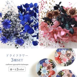 ドライフラワー 約1g カスミ草 ホワイト [小花 プリザーブドフラワー