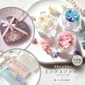□訳ありアウトレット 約0.8g ドライフラワー MIX おひとりさまお一つ