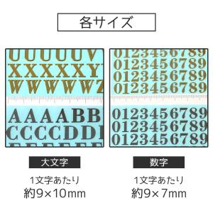 シール メタルシール LLサイズ レジンシール...の詳細画像3