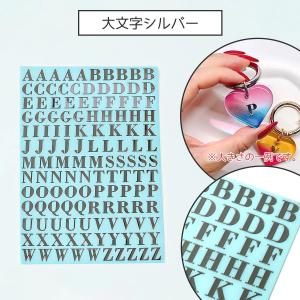 シール メタルシール LLサイズ レジンシール...の詳細画像5