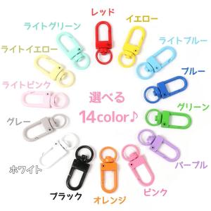 キーホルダー 4個 カラー薄型ナスカン キーチ...の詳細画像1