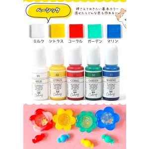 着色剤 厳選5色 レジン着色剤 カラリー スタ...の詳細画像2