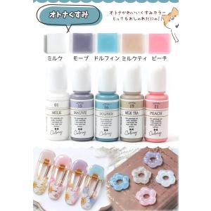 着色剤 厳選5色 レジン着色剤 カラリー スタ...の詳細画像5
