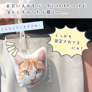 キーホルダー類 ワイヤーキーリング カラーフー...の詳細画像2
