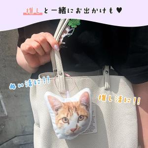 キーホルダー類 ワイヤーキーリング カラーフー...の詳細画像5