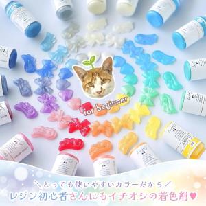 着色剤 レジン着色剤 カラリー ドリーミーカラ...の詳細画像5