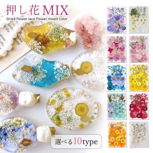 隠れ工房GreenOcean ドライフラワー 国産 花びらのカケラMIX