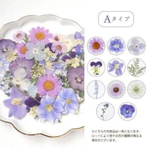 押し花 押し花MIX 約33枚 アソートセット...の詳細画像2