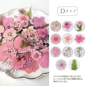 押し花 押し花MIX 約33枚 アソートセット...の詳細画像5