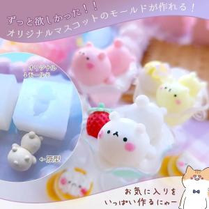 型取り剤 シリコンモールドが作れる マホウノカ...の詳細画像4