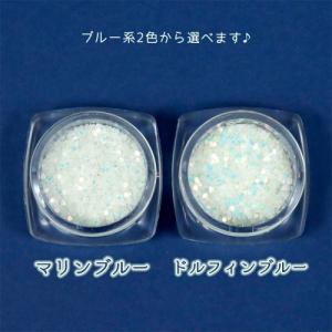 封入 蓄光ホログラム ブルー系 レジン封入 ネ...の詳細画像1