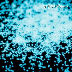 封入 蓄光ホログラム ブルー系 レジン封入 ネ...の詳細画像5
