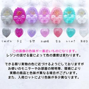 【着色剤】レジン着色剤 カラリー スターリー2...の詳細画像3