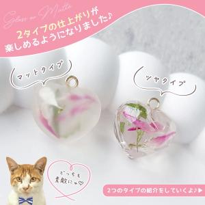 コーティング用レジン液 必ず沼る!まさるのどぼ...の詳細画像2