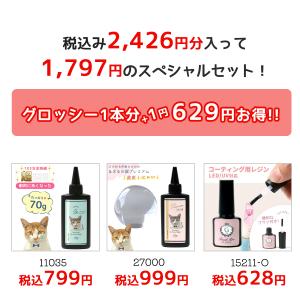 ■フィニッシュプログロッシーがオマケ♪ レジン...の詳細画像1