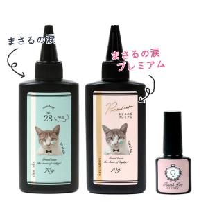 ■フィニッシュプログロッシーがオマケ♪ レジン...の詳細画像2