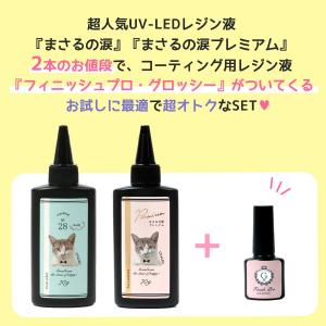 ■フィニッシュプログロッシーがオマケ♪ レジン...の詳細画像3