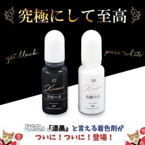 着色剤 レジン着色剤 カラリー 極カラー 究極...の詳細画像1