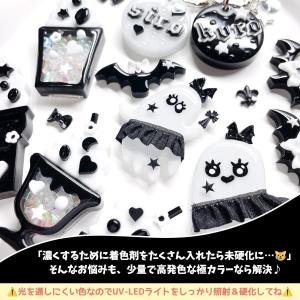 着色剤 レジン着色剤 カラリー 極カラー 究極...の詳細画像4