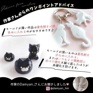 着色剤 レジン着色剤 カラリー 極カラー 究極...の詳細画像5