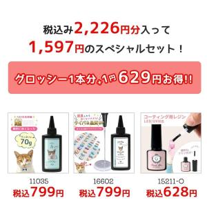 ■フィニッシュプログロッシーがオマケ♪お試しセ...の詳細画像1