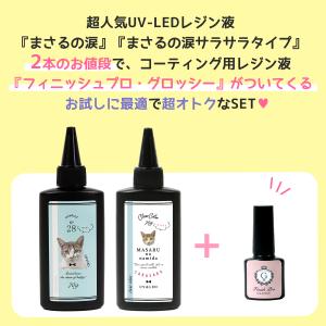 ■フィニッシュプログロッシーがオマケ♪お試しセ...の詳細画像3