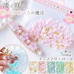 デコパーツ ブレンド済♪ ミニフラワーパーツ レジン封入素材 花びらパーツ ブリオン パール ミックス シェイカー ネイル キラキラ UVレジン クラフト 選べる5色